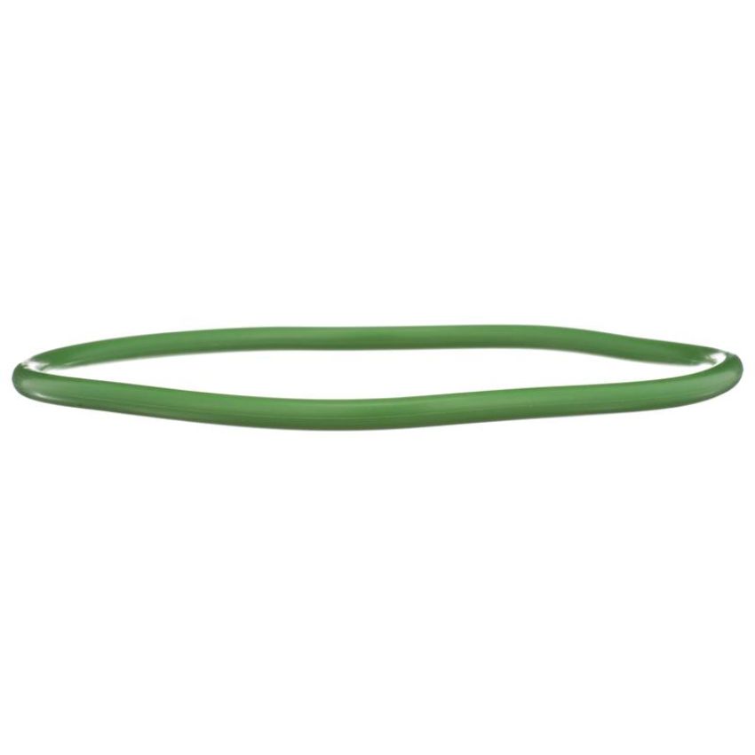 DELPHI FA10029 Fuel Pump Tank Seal