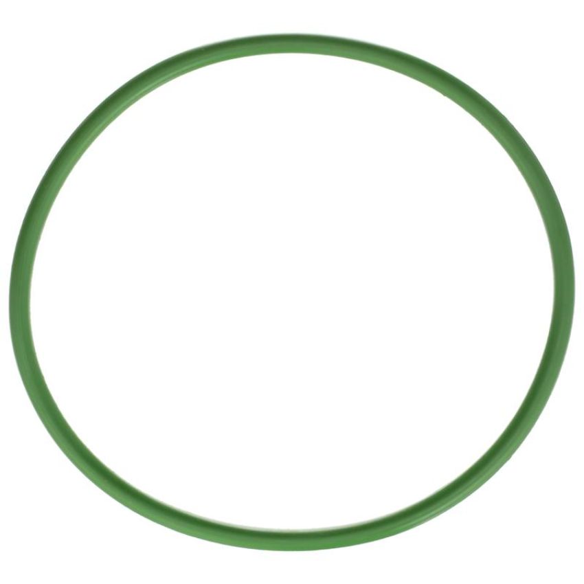 DELPHI FA10029 Fuel Pump Tank Seal