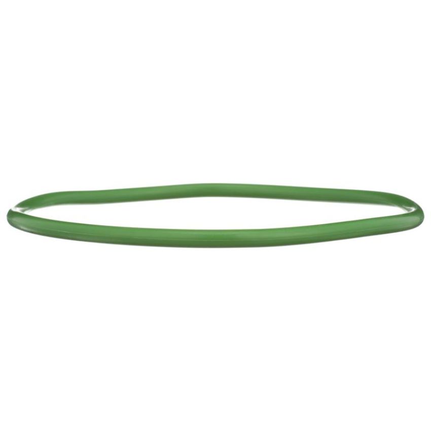 DELPHI FA10029 Fuel Pump Tank Seal