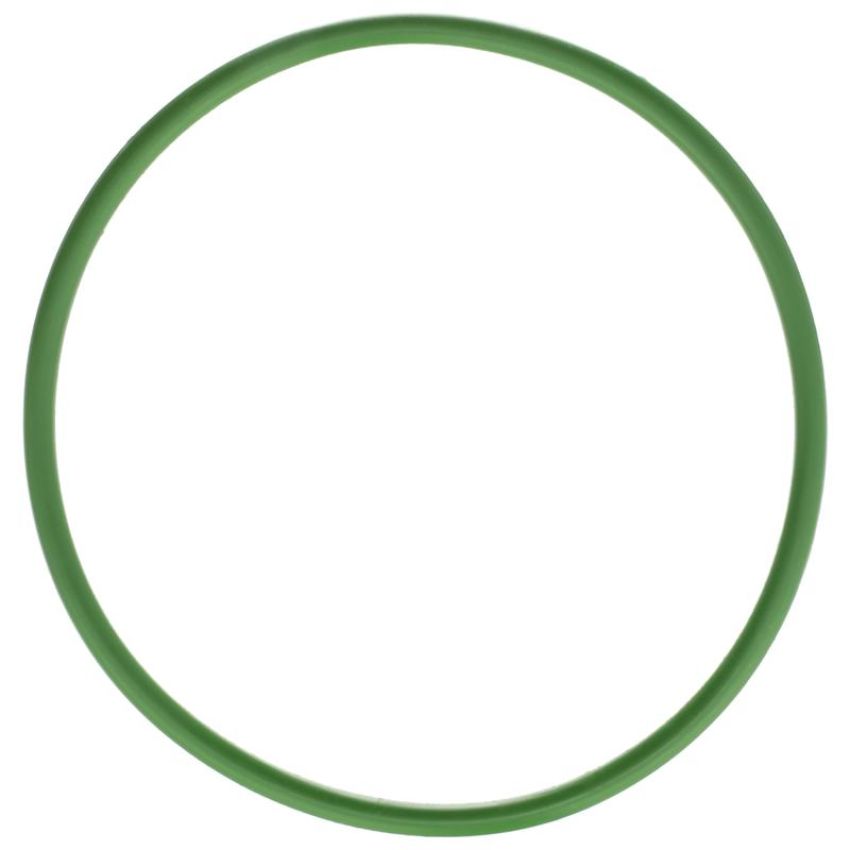 DELPHI FA10029 Fuel Pump Tank Seal