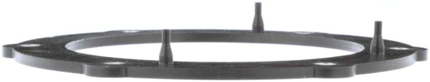 DELPHI FA10030 Fuel Pump Tank Seal