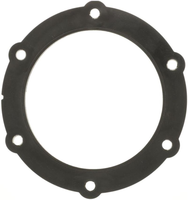 DELPHI FA10030 Fuel Pump Tank Seal