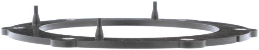 DELPHI FA10030 Fuel Pump Tank Seal