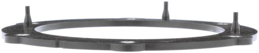 DELPHI FA10030 Fuel Pump Tank Seal