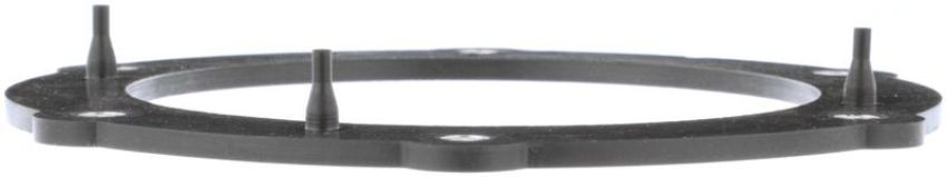 DELPHI FA10030 Fuel Pump Tank Seal