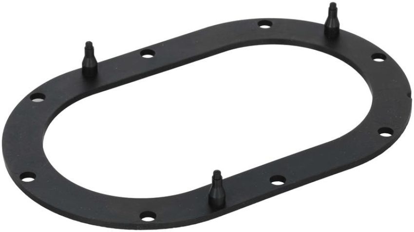 DELPHI FA10032 Fuel Pump Tank Seal