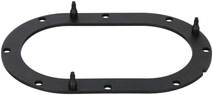 DELPHI FA10032 Fuel Pump Tank Seal