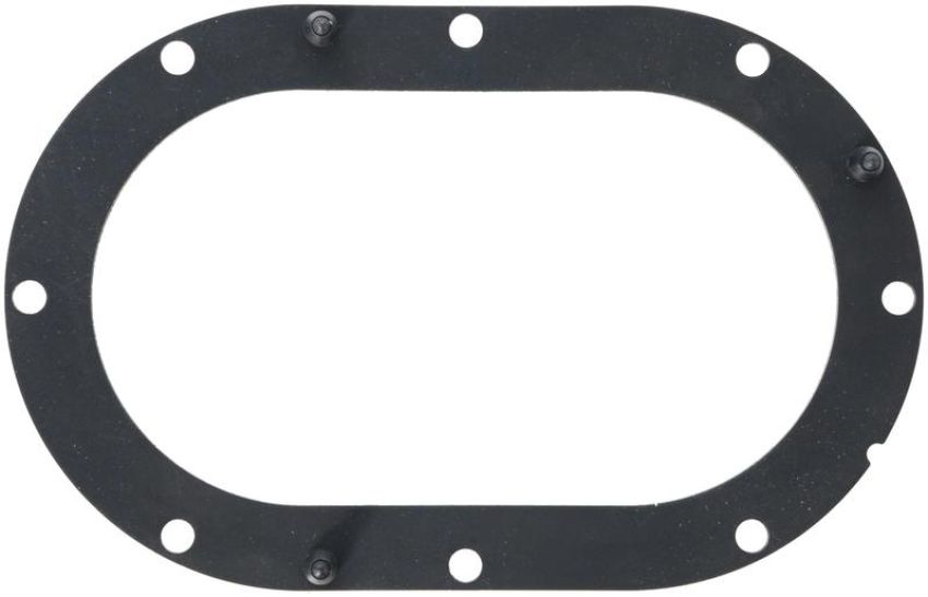 DELPHI FA10032 Fuel Pump Tank Seal