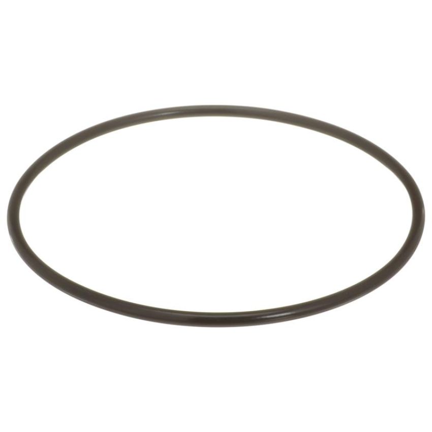 DELPHI FA10036 Fuel Pump Tank Seal