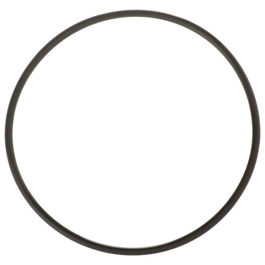 DELPHI FA10036 Fuel Pump Tank Seal