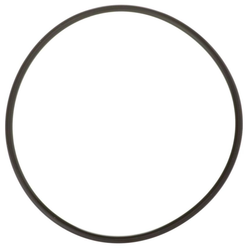 DELPHI FA10036 Fuel Pump Tank Seal