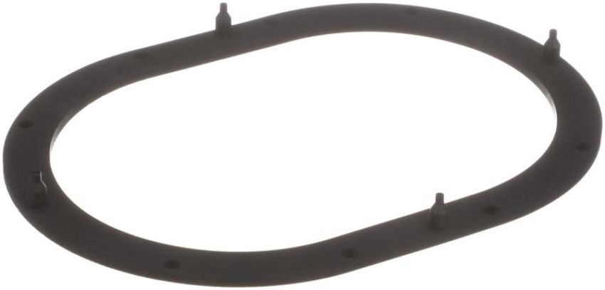 DELPHI FA10039 Fuel Pump Tank Seal
