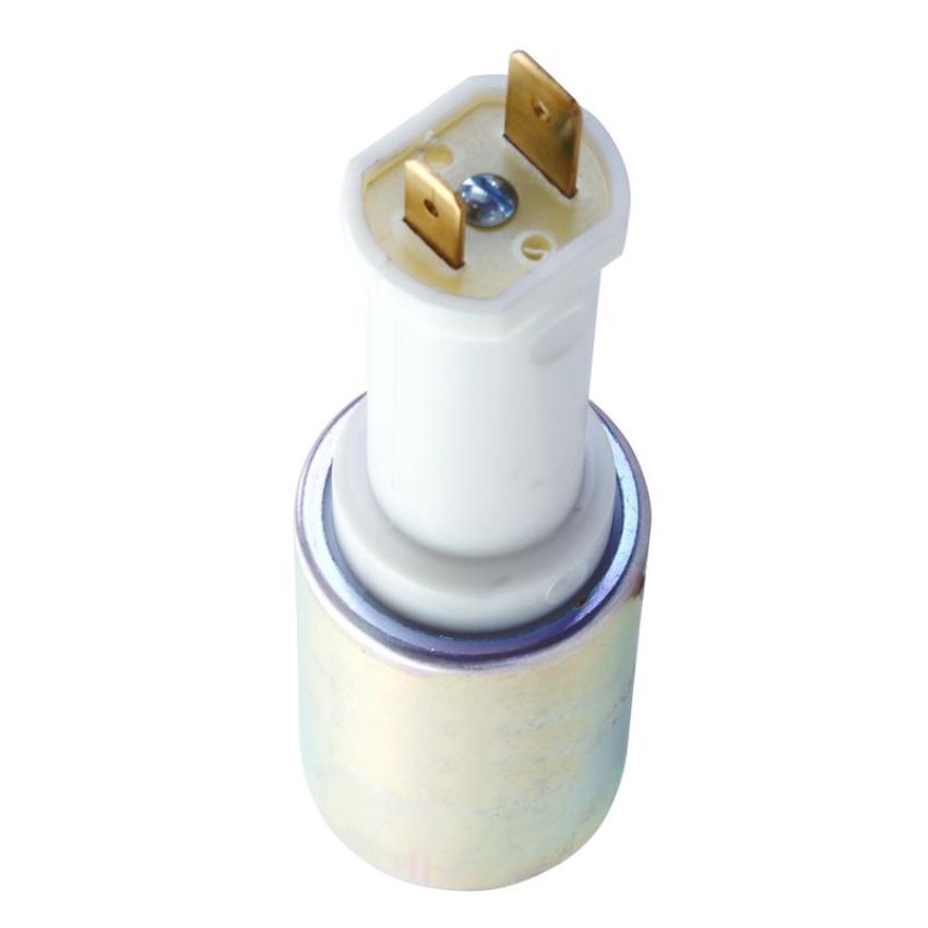 DELPHI FE0127 Electric Fuel Pump