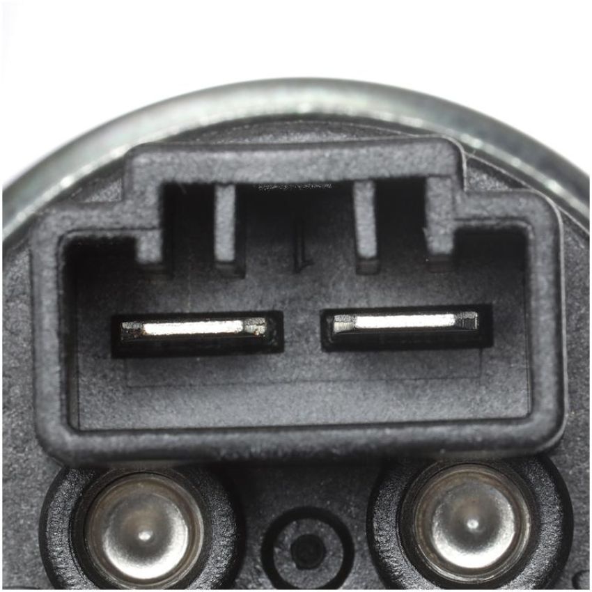 DELPHI FE0174 Electric Fuel Pump
