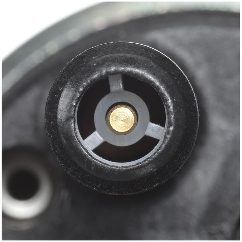 DELPHI FE0174 Electric Fuel Pump