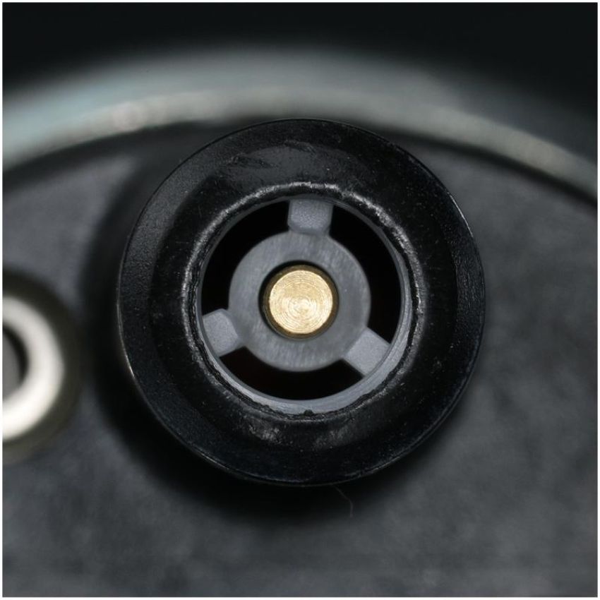 DELPHI FE0245 Electric Fuel Pump