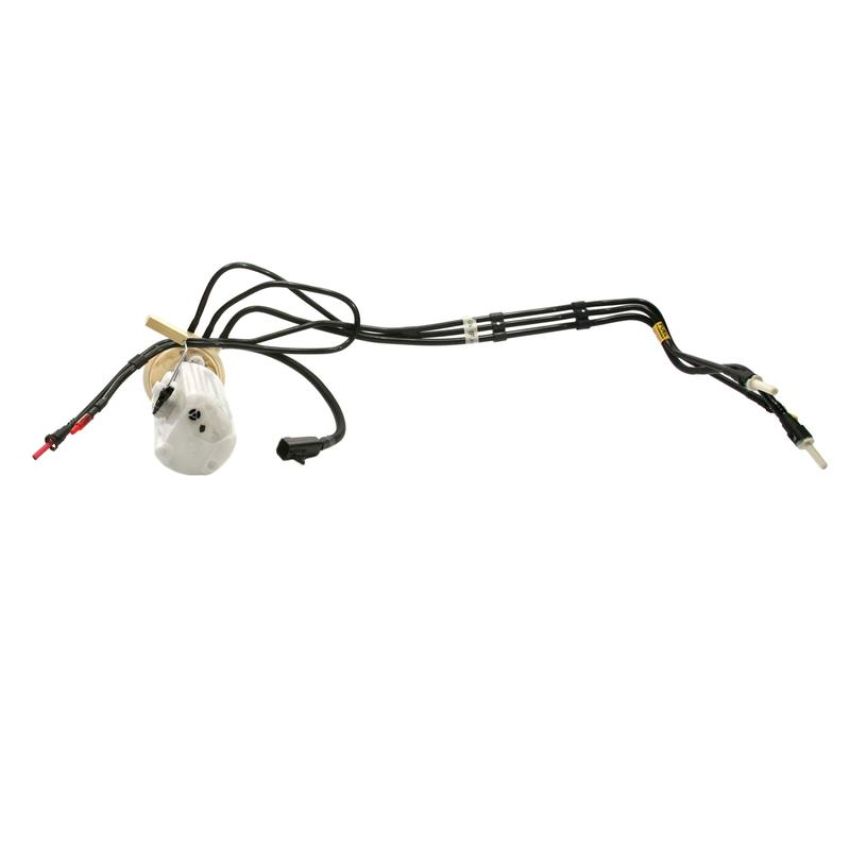 DELPHI FG0019 Fuel Pump Module Assembly
