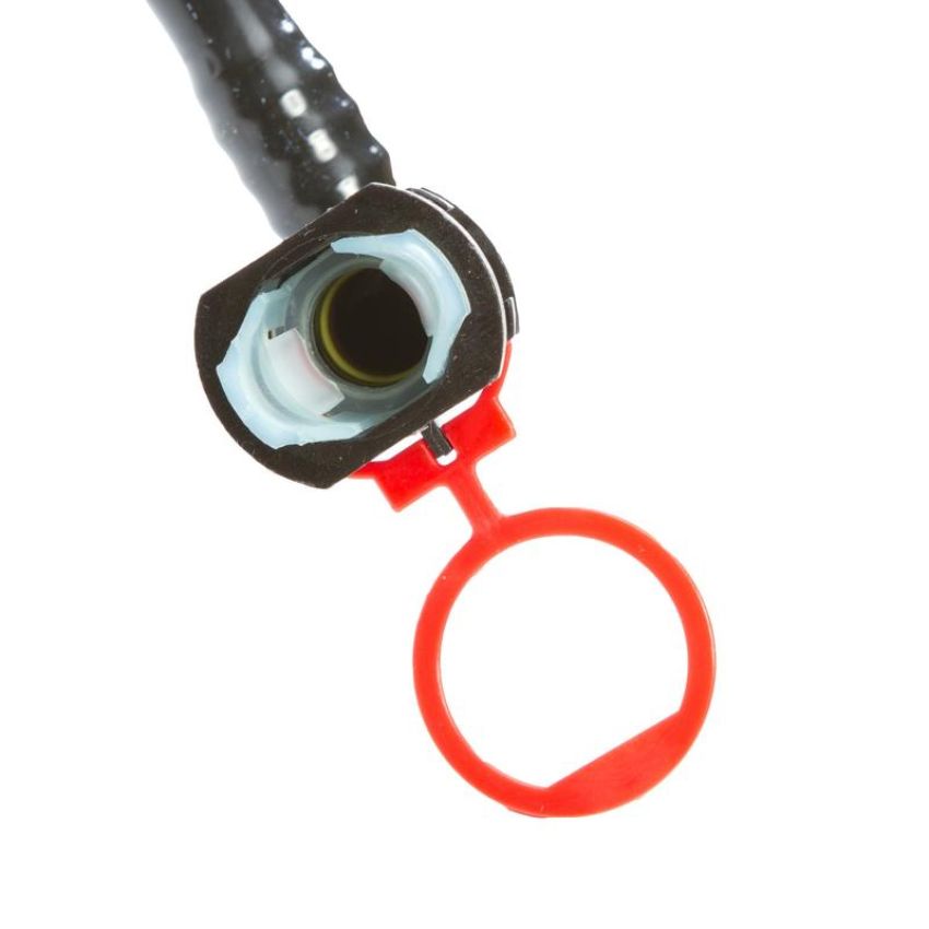 DELPHI FG0170 Fuel Pump Module Assembly