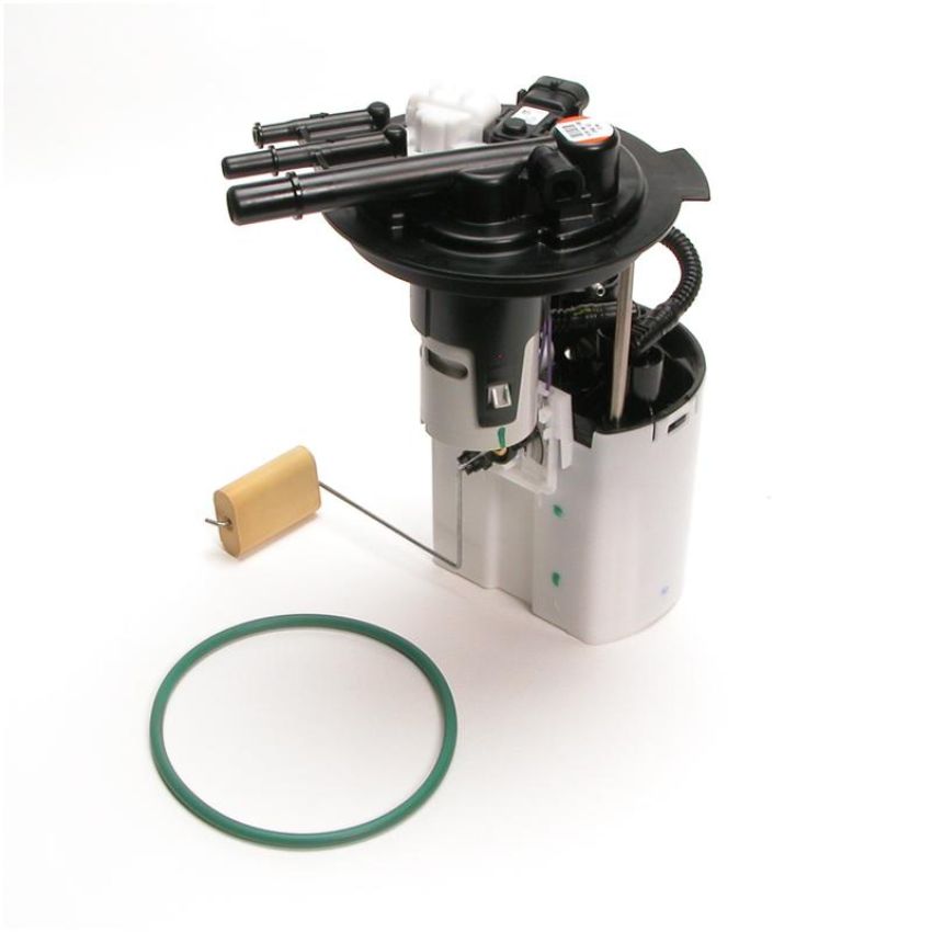 DELPHI FG0405 Fuel Pump Module Assembly