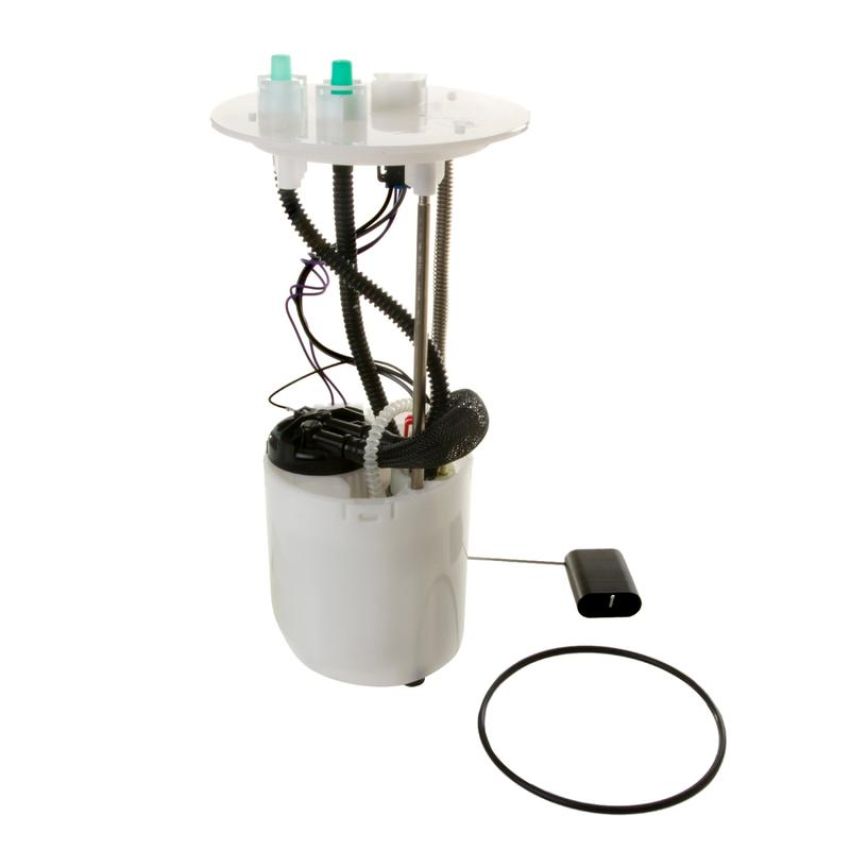 DELPHI FG0919 Fuel Pump Module Assembly