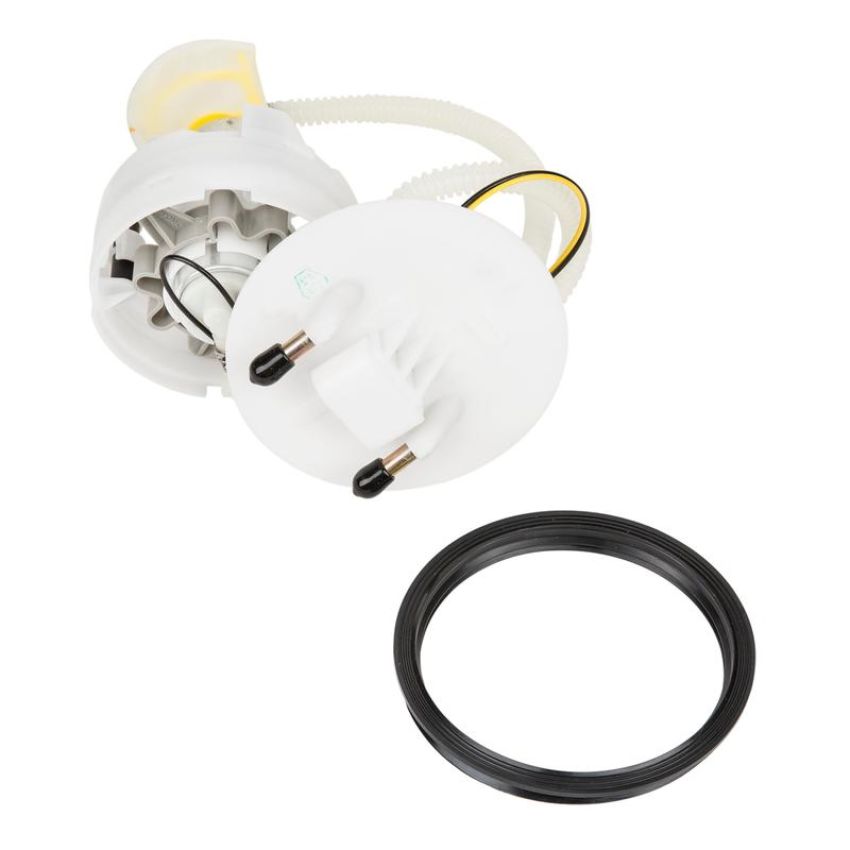 DELPHI FG0975 Fuel Pump Module Assembly