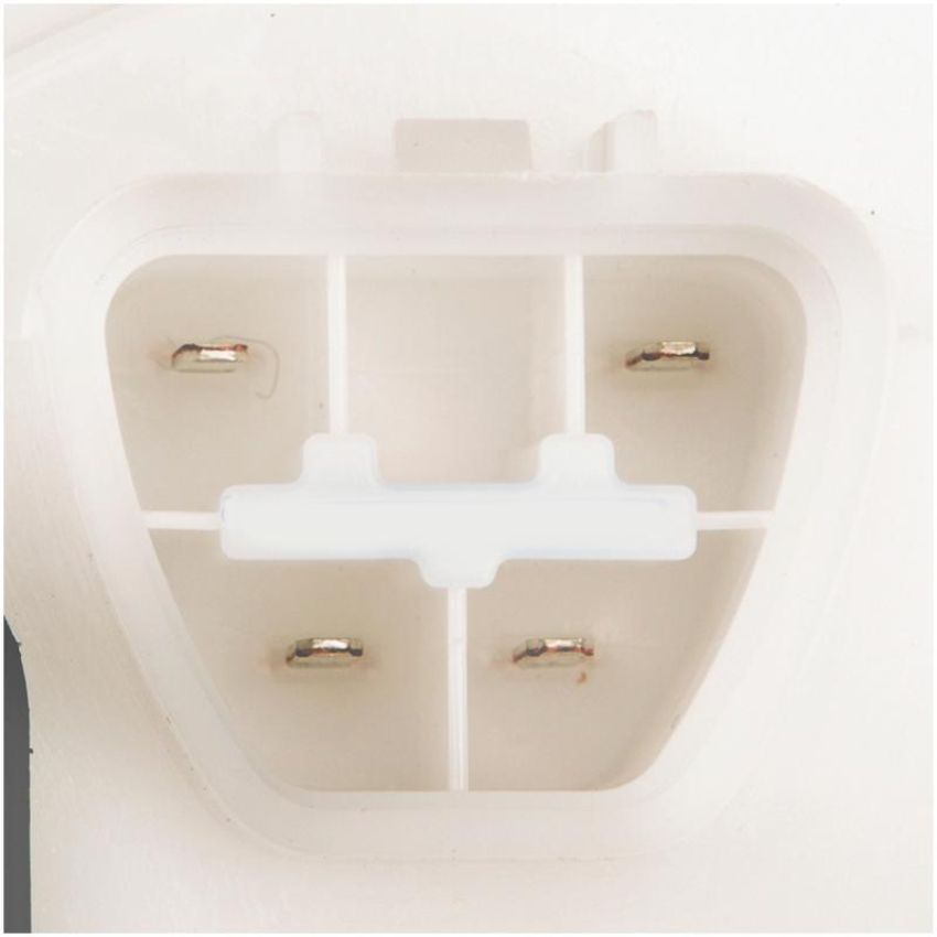 DELPHI FG1189 Fuel Pump Module Assembly