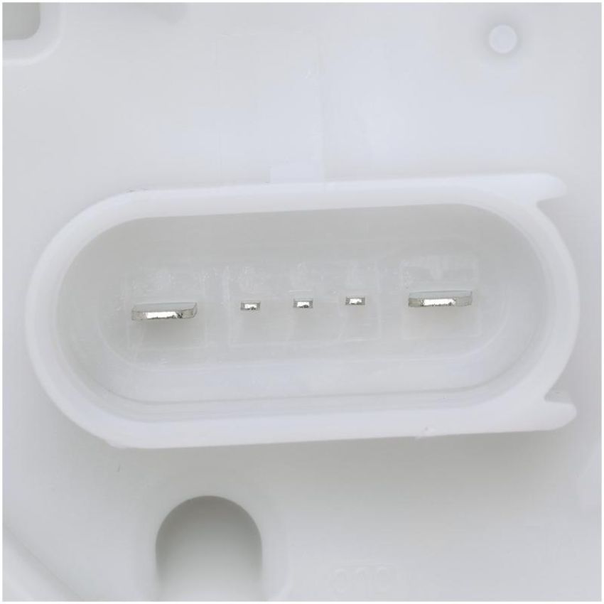 DELPHI FG1194 Fuel Pump Module Assembly