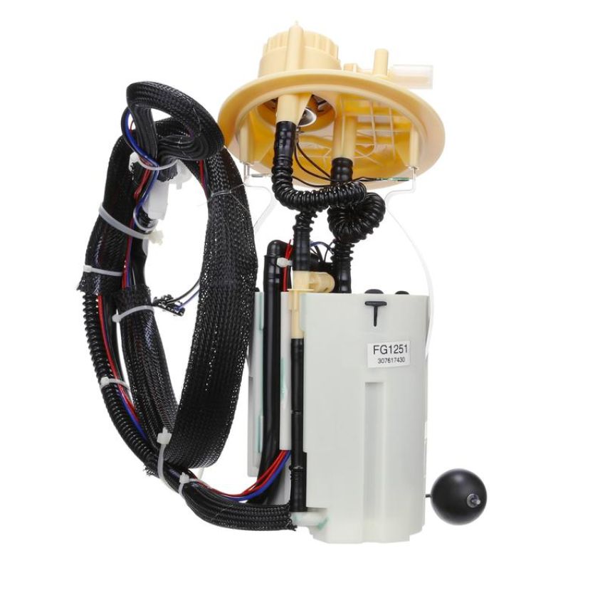 DELPHI FG1251 Fuel Pump Module Assembly
