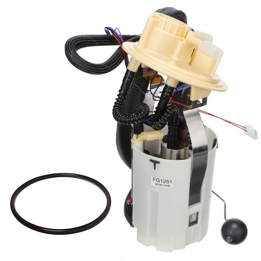 DELPHI FG1251 Fuel Pump Module Assembly
