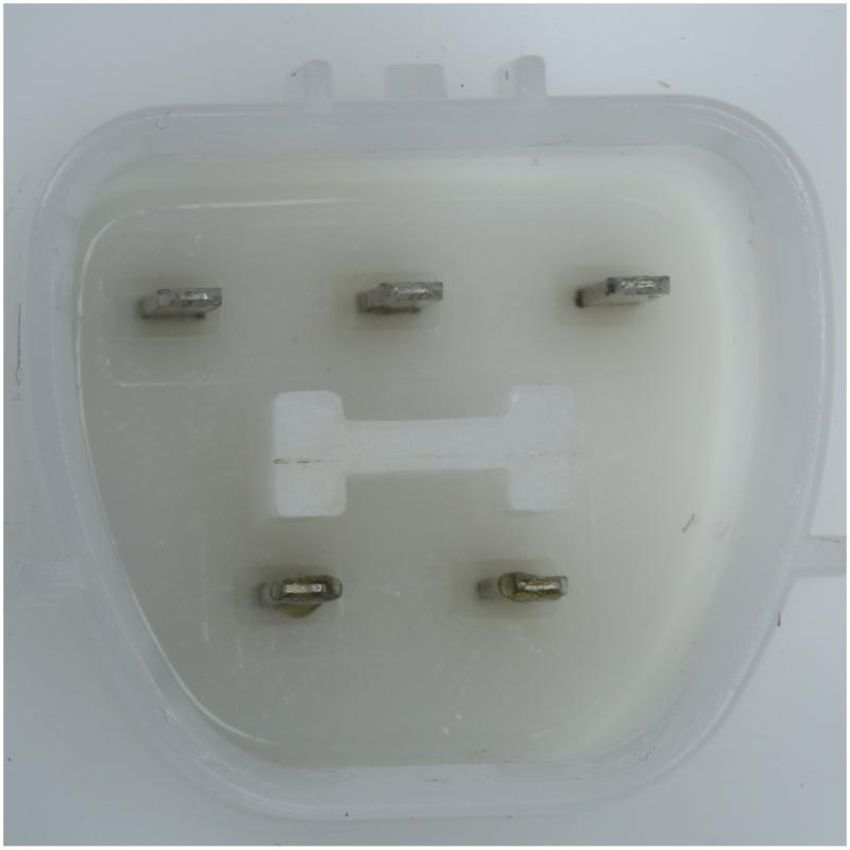 DELPHI FG1265 Fuel Pump Module Assembly