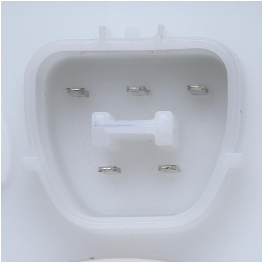 DELPHI FG1456 Fuel Pump Module Assembly