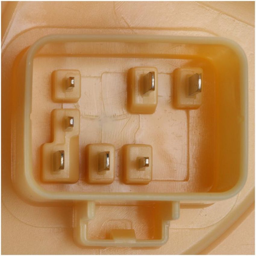 DELPHI FG1617 Fuel Pump Module Assembly