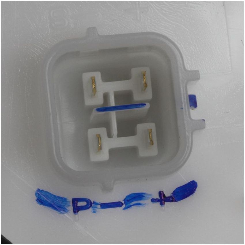 DELPHI FG1672 Fuel Pump Module Assembly