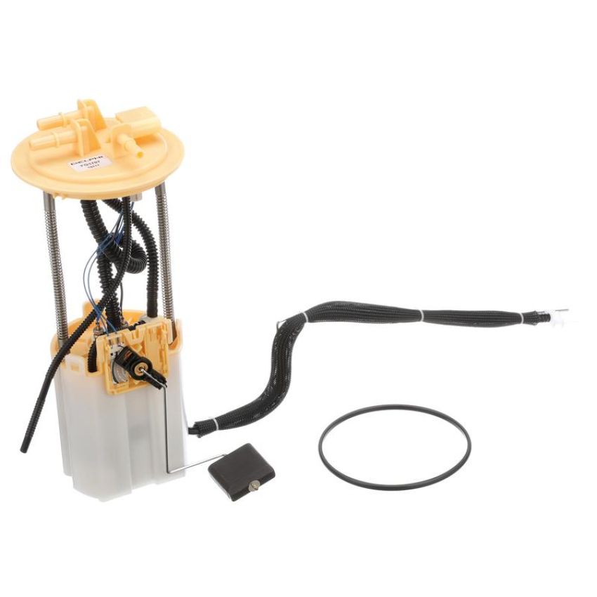 DELPHI FG1707 Fuel Pump Module Assembly