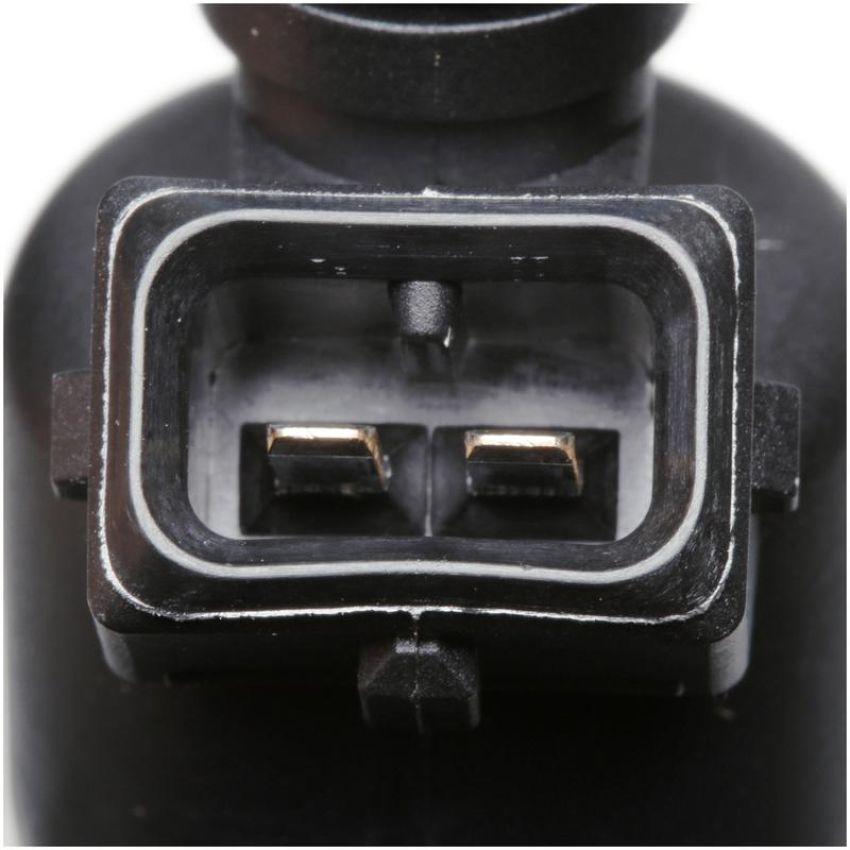 DELPHI FJ10049 Fuel Injector