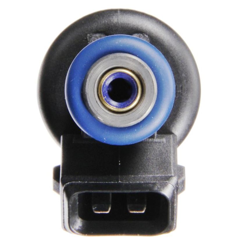 DELPHI FJ10049 Fuel Injector