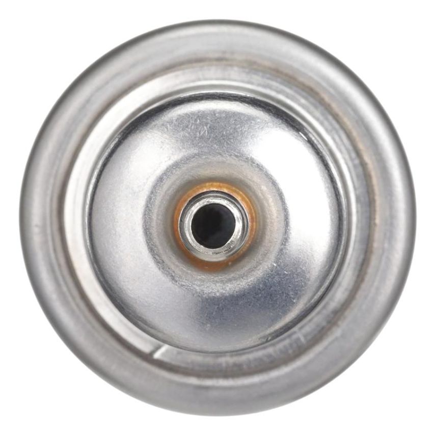 DELPHI FP10262 Fuel Injection Pressure Regulator