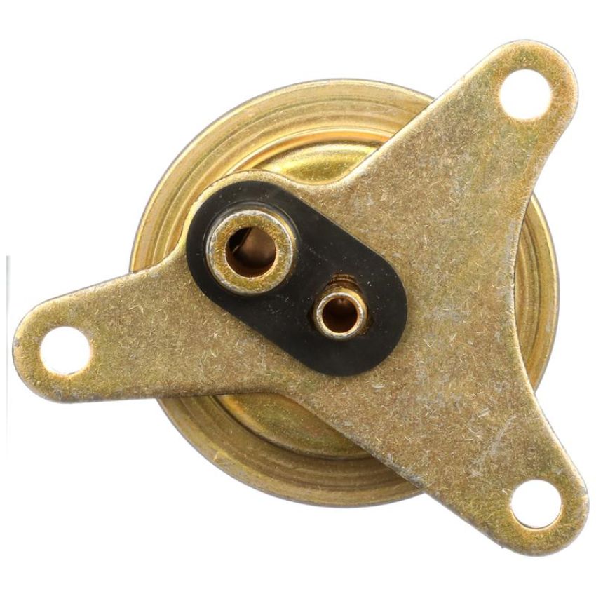 DELPHI FP10391 Fuel Injection Pressure Regulator