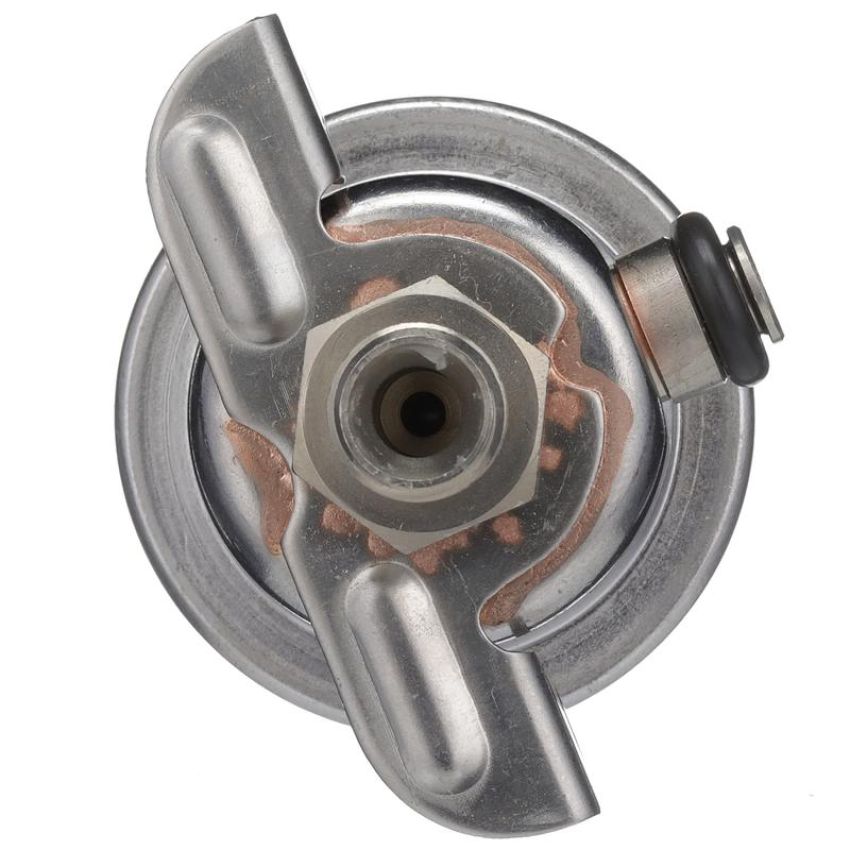 DELPHI FP10487 Fuel Injection Pressure Regulator