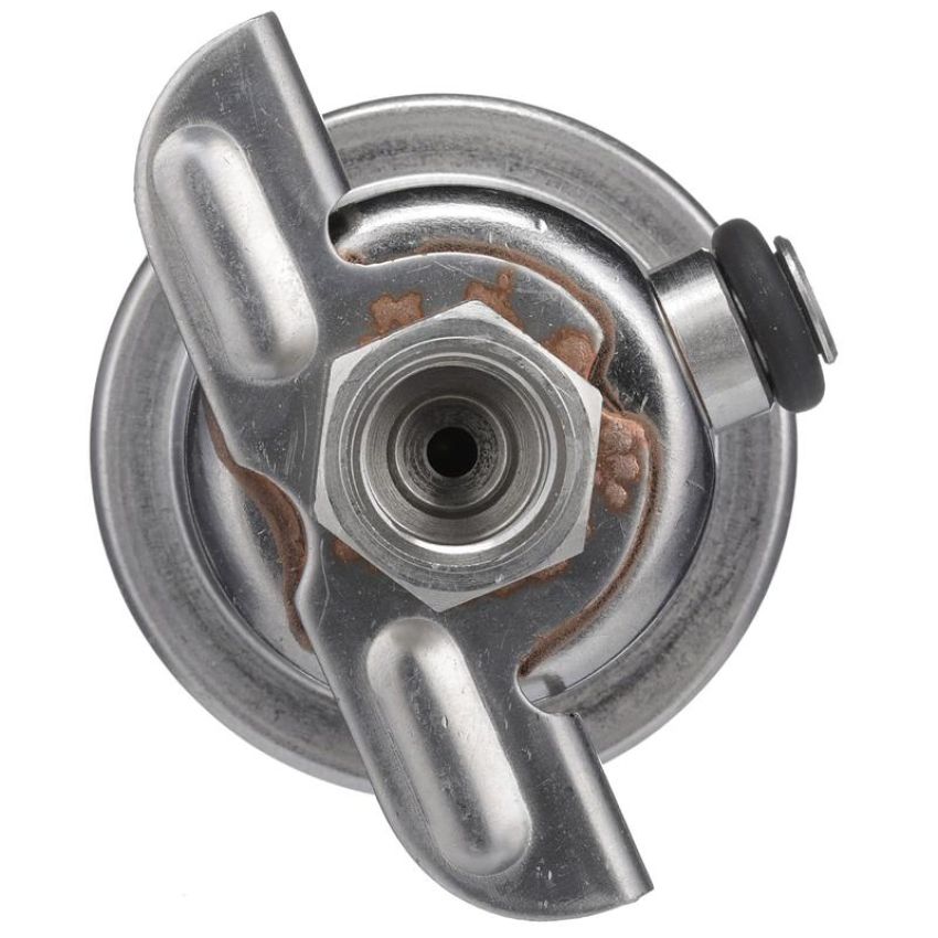 DELPHI FP10509 Fuel Injection Pressure Regulator