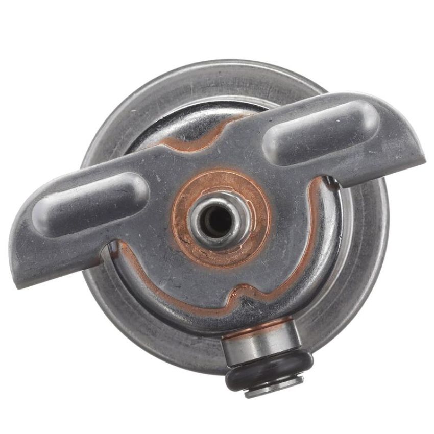 DELPHI FP10521 Fuel Injection Pressure Regulator