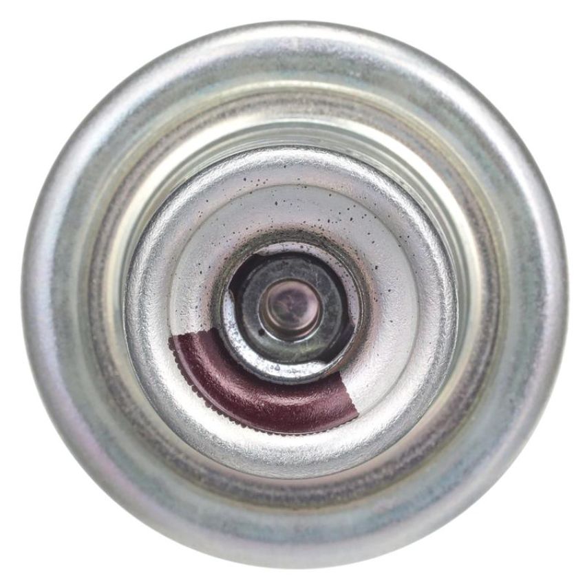 DELPHI FP10666 Fuel Injection Pressure Regulator