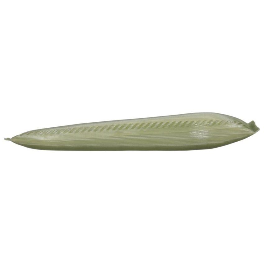 DELPHI FS0003 Fuel Pump Strainer