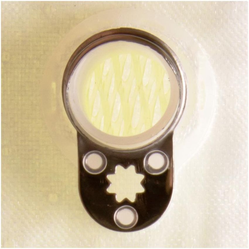 DELPHI FS0110 Fuel Pump Strainer