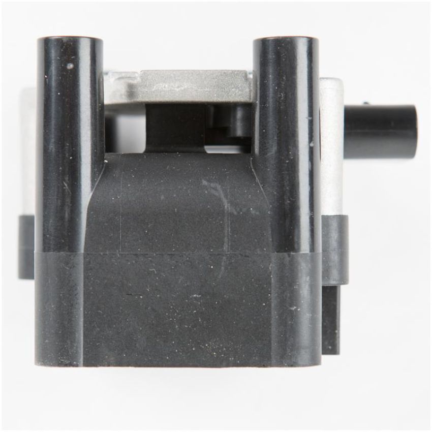 DELPHI GN10018 Ignition Coil