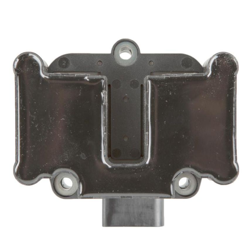 DELPHI GN10018 Ignition Coil