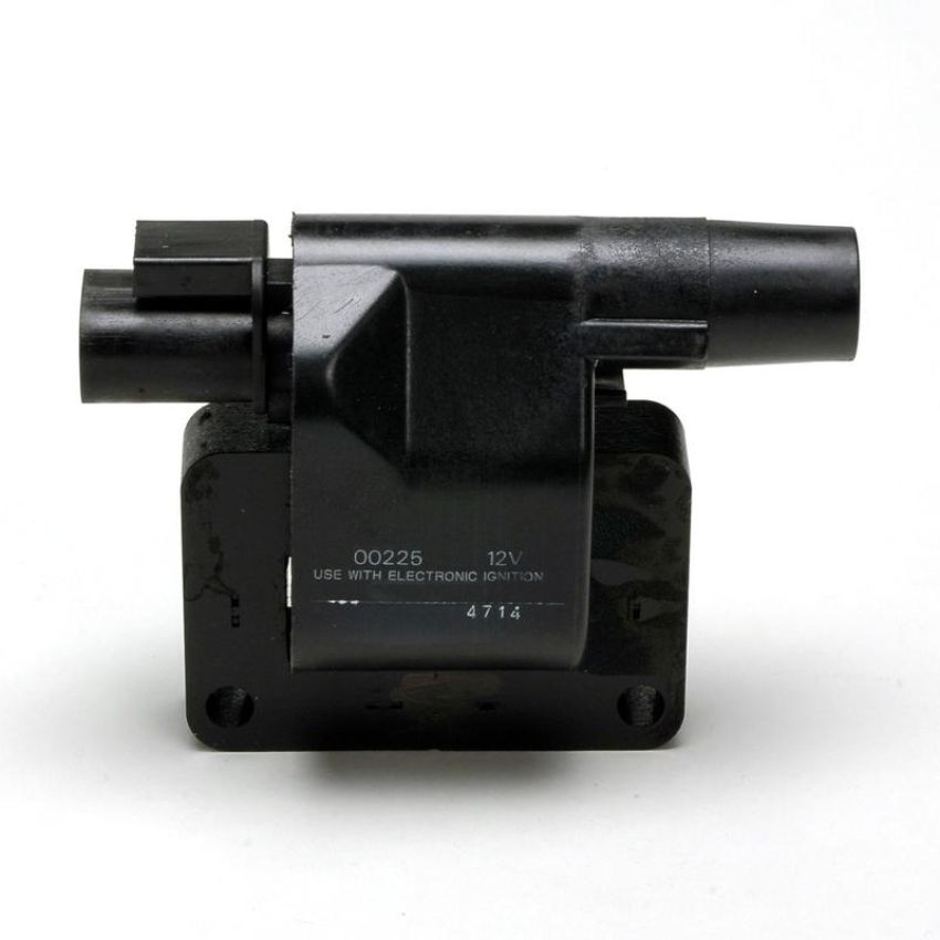 DELPHI GN10024 Ignition Coil