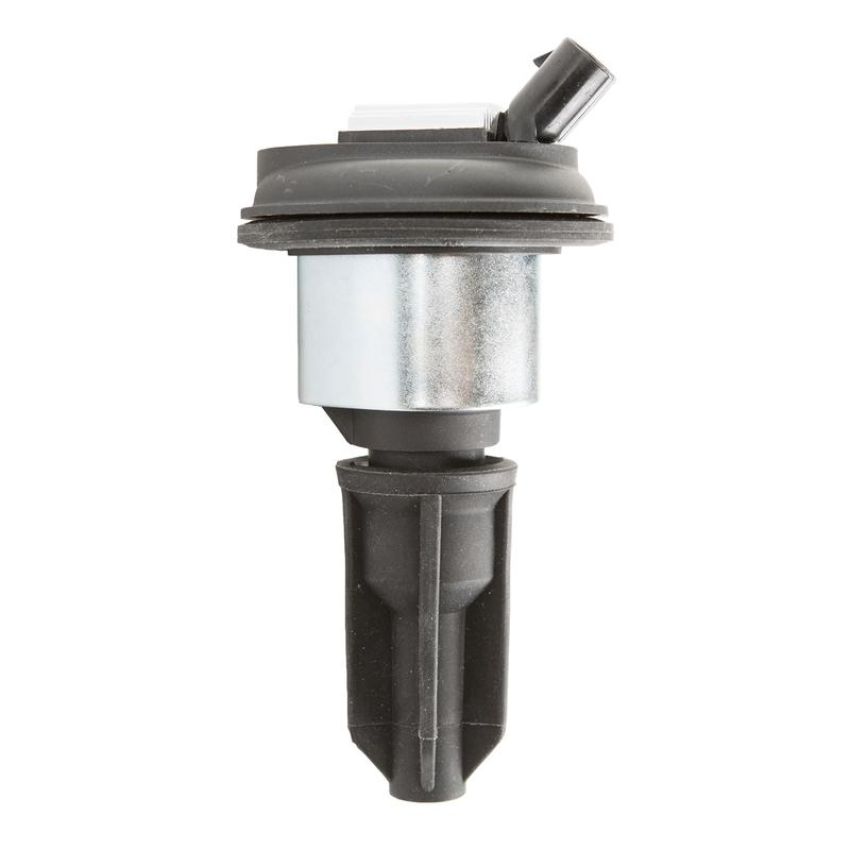 DELPHI GN10114 Ignition Coil