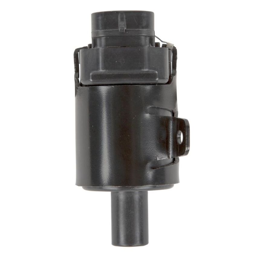 DELPHI GN10119 Ignition Coil
