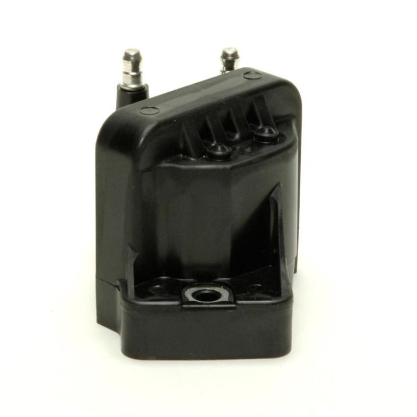 DELPHI GN10123 Ignition Coil